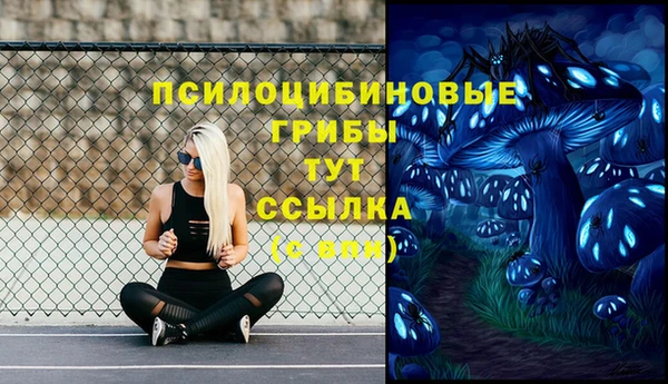 гидропоника Алзамай